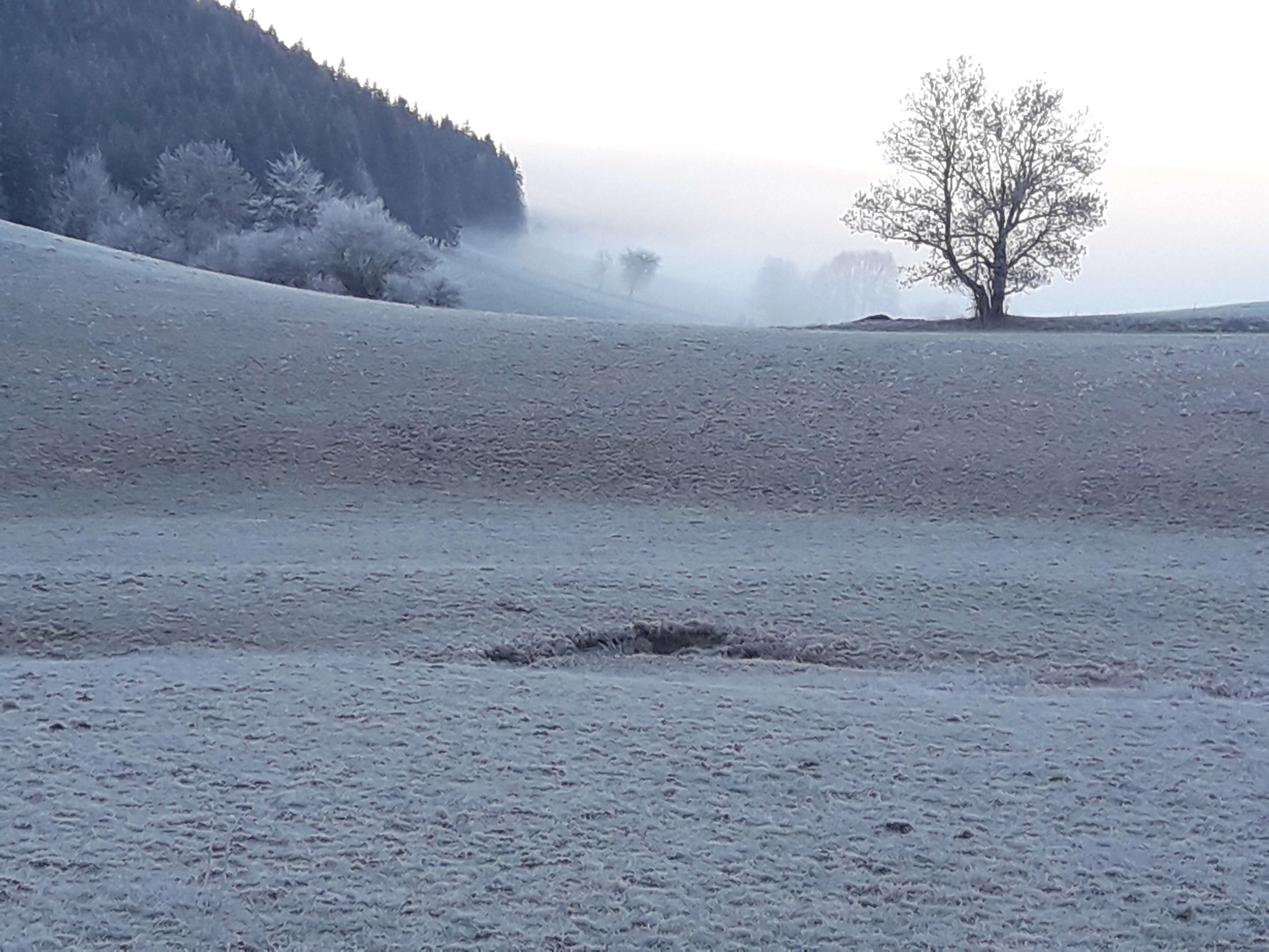 paysage bucolique, construction maison, Meaudre